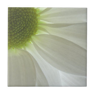 Carreau En Céramique Pétales de marguerite blanche