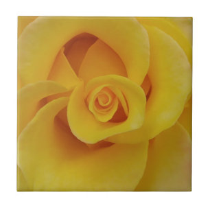 Carreau En Céramique Pétales romantiques de rose jaune