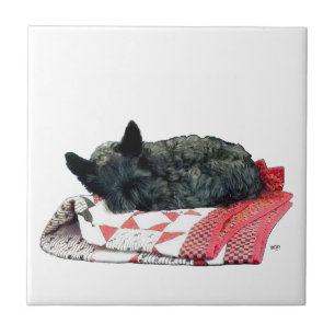 Carreau En Céramique Petit chien Scottie endormi