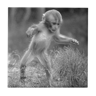 Carreau En Céramique Petit singe génial