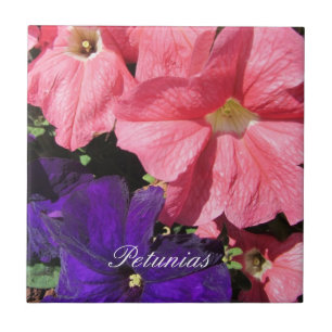 Carreau En Céramique Pétunias rose et violet