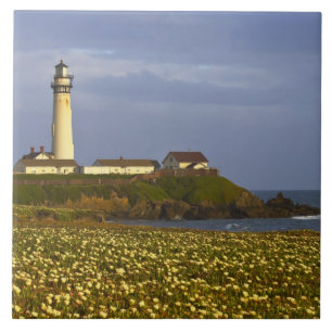 Carreau En Céramique Phare de Pigeon Point State Beach à San