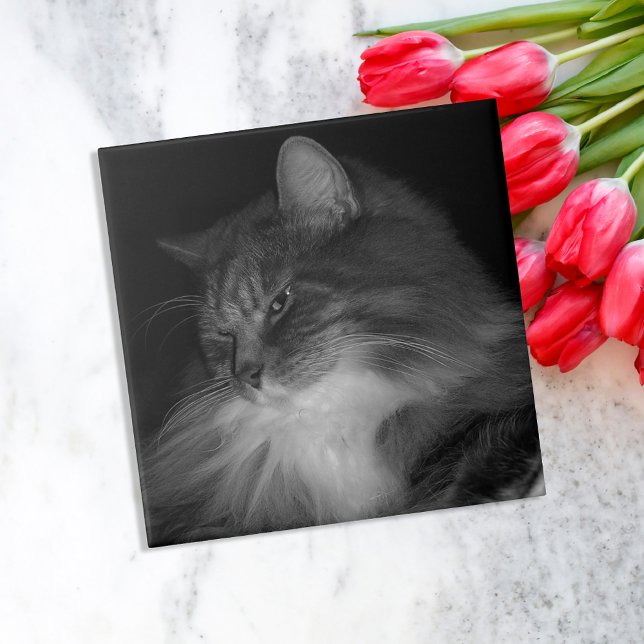 Carreau En Céramique Photo de chat BW de Simba (Créateur téléchargé)