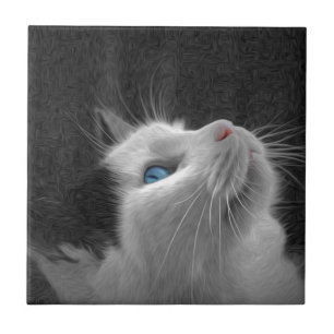 Carreau En Céramique Photo de chat observée par bleu