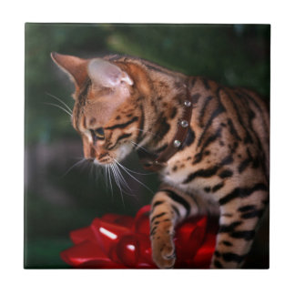 Carreau En Céramique Photo de Kitty de Noël (chat domestique du