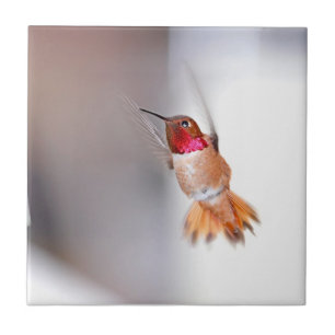 Carreau En Céramique Photo de vol de colibri