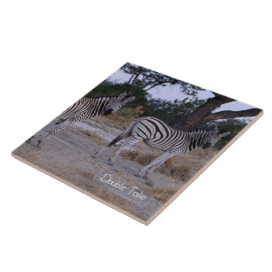 Carreau En Céramique Photo Zebra Double Take