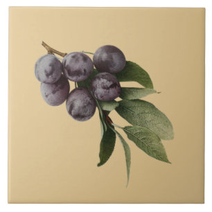 Carreau En Céramique ~Pick de Botanical~Kitchen de prunes tout arrière