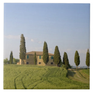 Carreau En Céramique Pienza, Val d'Orcia, province de Sienne, Toscane,