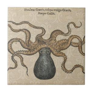 Carreau En Céramique Pieuvre Kraken Antique Faune Marine Côtière