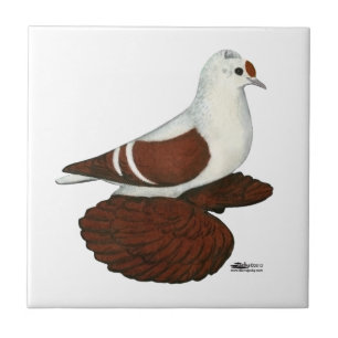 Carreau En Céramique Pigeon à aile rouge