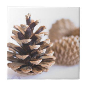 Carreau En Céramique Pinecones