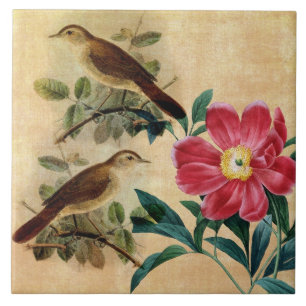 Carreau En Céramique Pivoine avec des rossignols