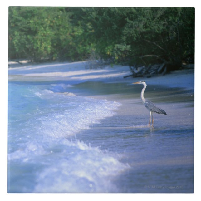 Carreau En Céramique Plage 2 (Devant)