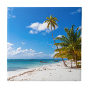 Carreau En Céramique Plage à Saona République dominicaine