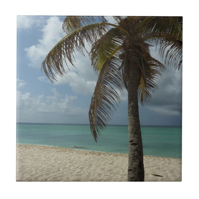 Carreau En Céramique Plage d'Aruba I Belle Scène Nature (Devant)