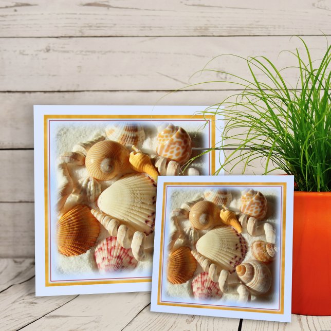 Carreau En Céramique Plage de sable, Coquillages Tropicaux Carrelage cé (Créateur téléchargé)