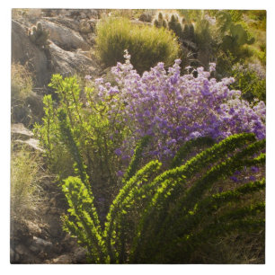 Carreau En Céramique plantes du désert de Chihuahuan en fleurs