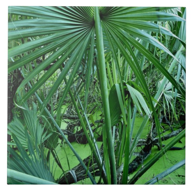 Carreau En Céramique Plantes tropicales dans l'étang de sel (Devant)