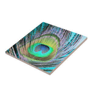 Carreau En Céramique Plume de paon sur Turquoise