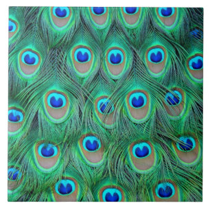 Carreau En Céramique Plumes de paon