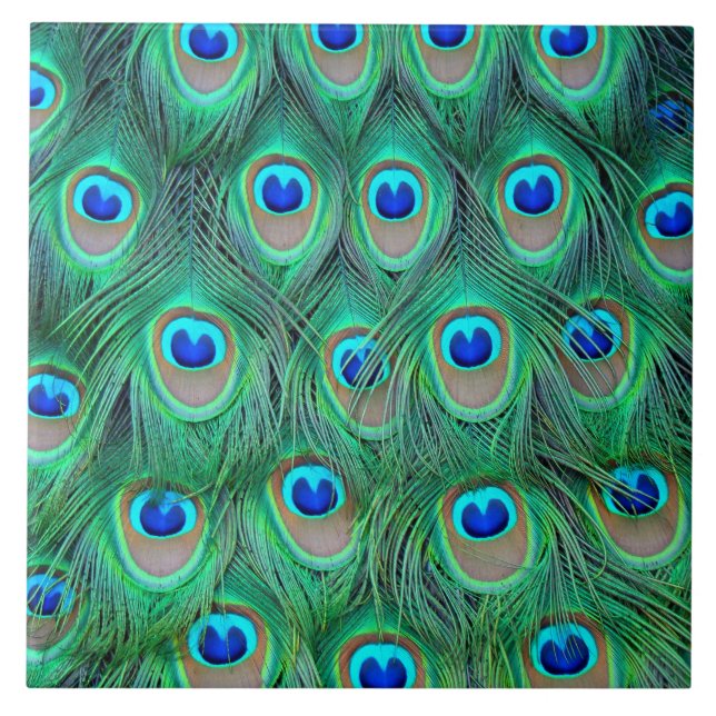 Carreau En Céramique Plumes de paon (Devant)
