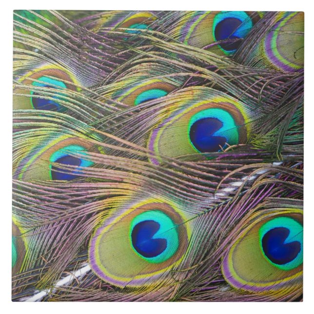 Carreau En Céramique Plumes de paon (Devant)