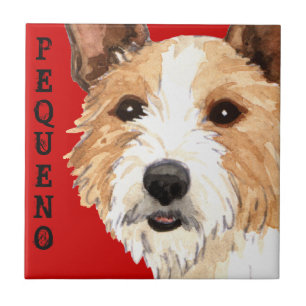 Carreau En Céramique Podengo Pequeno