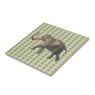 Carreau En Céramique Poids d'épices à feuilles de baie avec éléphant