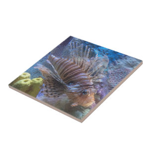 Carreau En Céramique Poisson