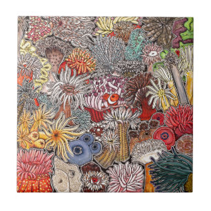 Carreau En Céramique Poisson clown et anémones