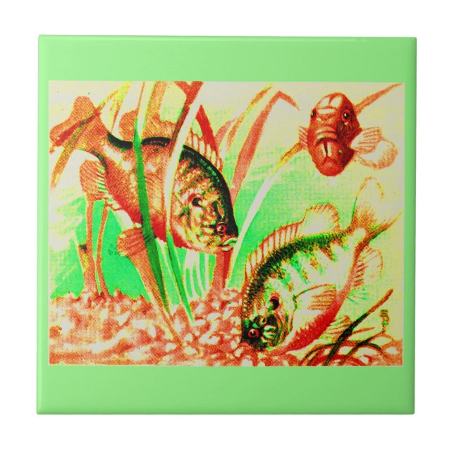 Carreau En Céramique poisson d'eau douce (Devant)