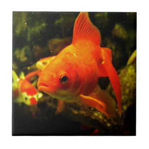 Carreau En Céramique Poisson doré