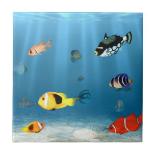 Carreau En Céramique Poissons dans l'océan