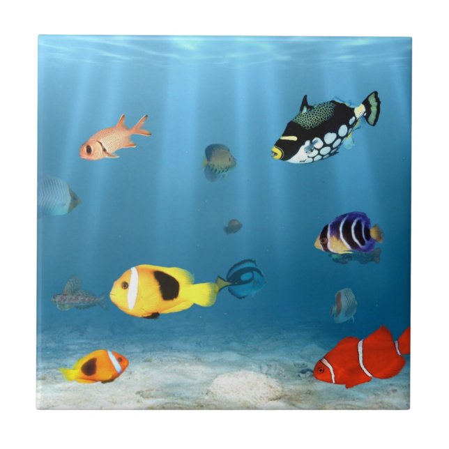 Carreau En Céramique Poissons dans l'océan (Devant)