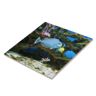 Carreau En Céramique Poissons de bleu de mer