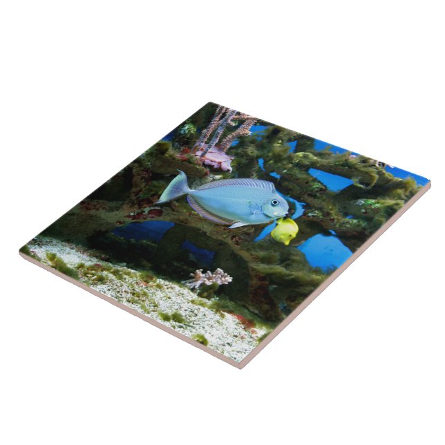 Carreau En Céramique Poissons de bleu de mer (Côté)