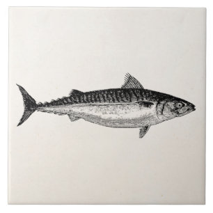 Carreau En Céramique Poissons de maquereau commun de cru - modèle