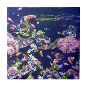 Carreau En Céramique Poissons oranges sous-marins de clown autour de