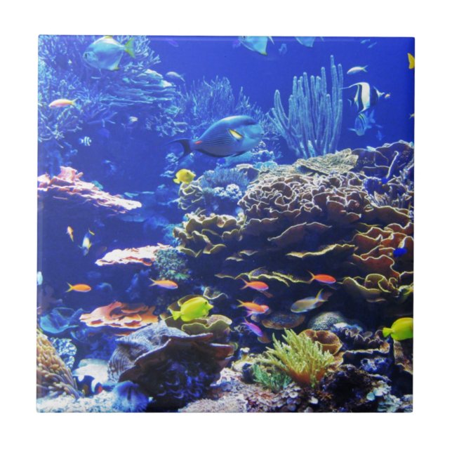 Carreau En Céramique Poissons tropicaux (Devant)