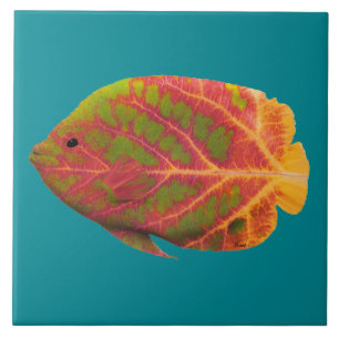 Carreau En Céramique Poissons tropicaux 1 de feuille d'Aspen
