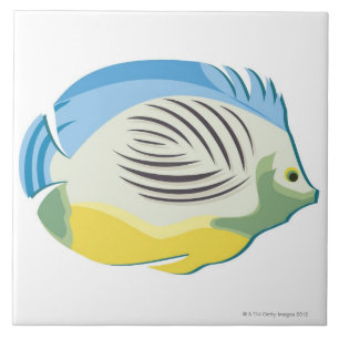 Carreau En Céramique Poissons tropicaux 2