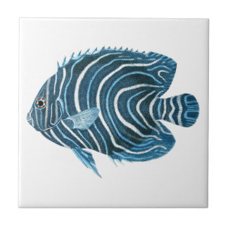 Carreau En Céramique Poissons tropicaux de récif coralien