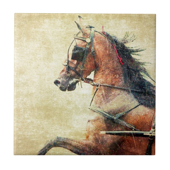 Carreau En Céramique Poney de Hackney (Devant)