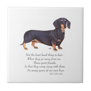 Carreau En Céramique Pont arc-en-ciel des Dachshund