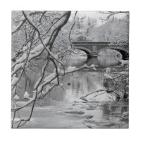 Pont de voûte au-dessus de rivière congelée en