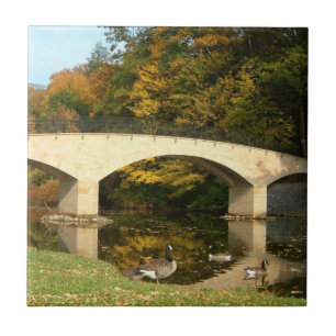 Carreau En Céramique Pont Rainbow à l'automne au Grove City College