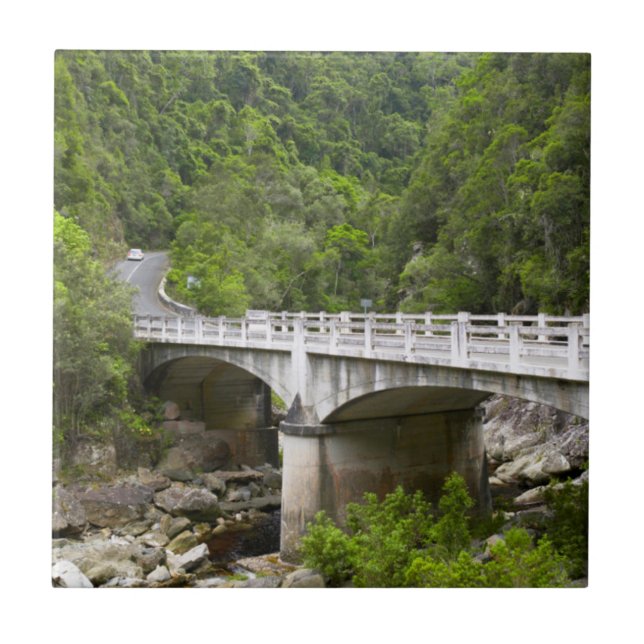 Carreau En Céramique Pont sur le ruisseau, parc national Tsitsikamma (Devant)