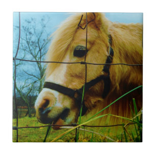 Carreau En Céramique Pony miniature blond / Cheval Ciel bleu