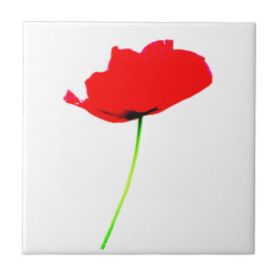 Carreau En Céramique POPPY Collection 02 Tuile